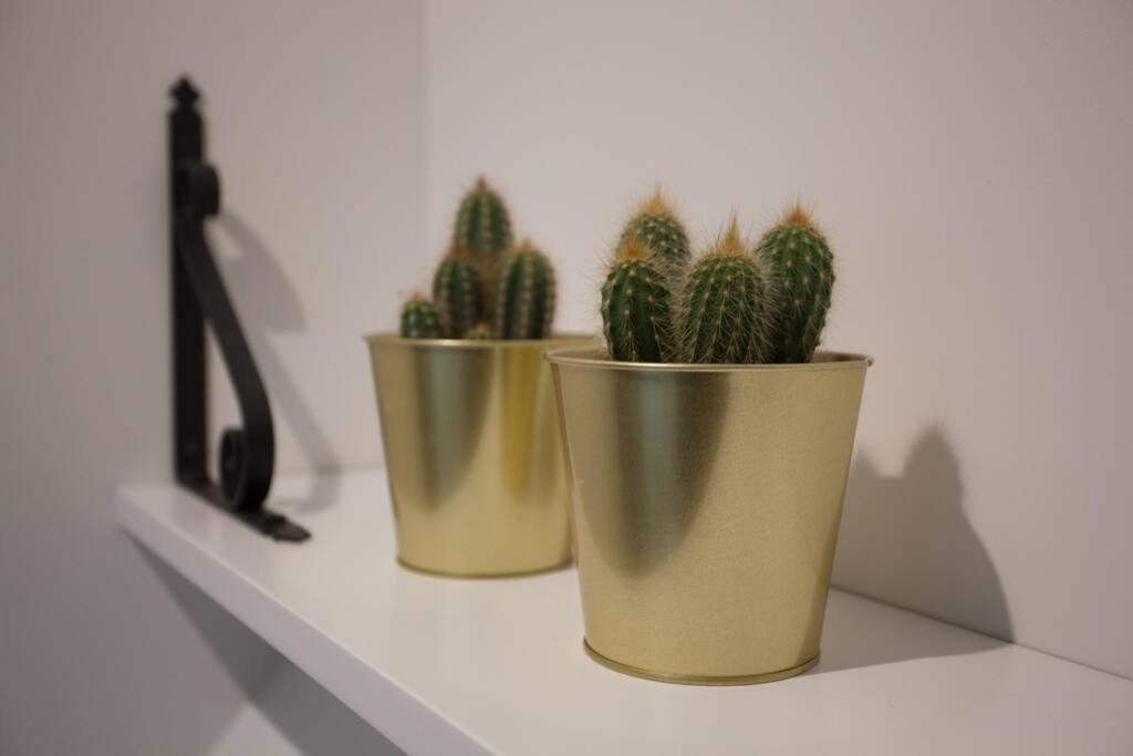 Bonito Apartamento, Nuevo Y En El Casco Viejo!!! *