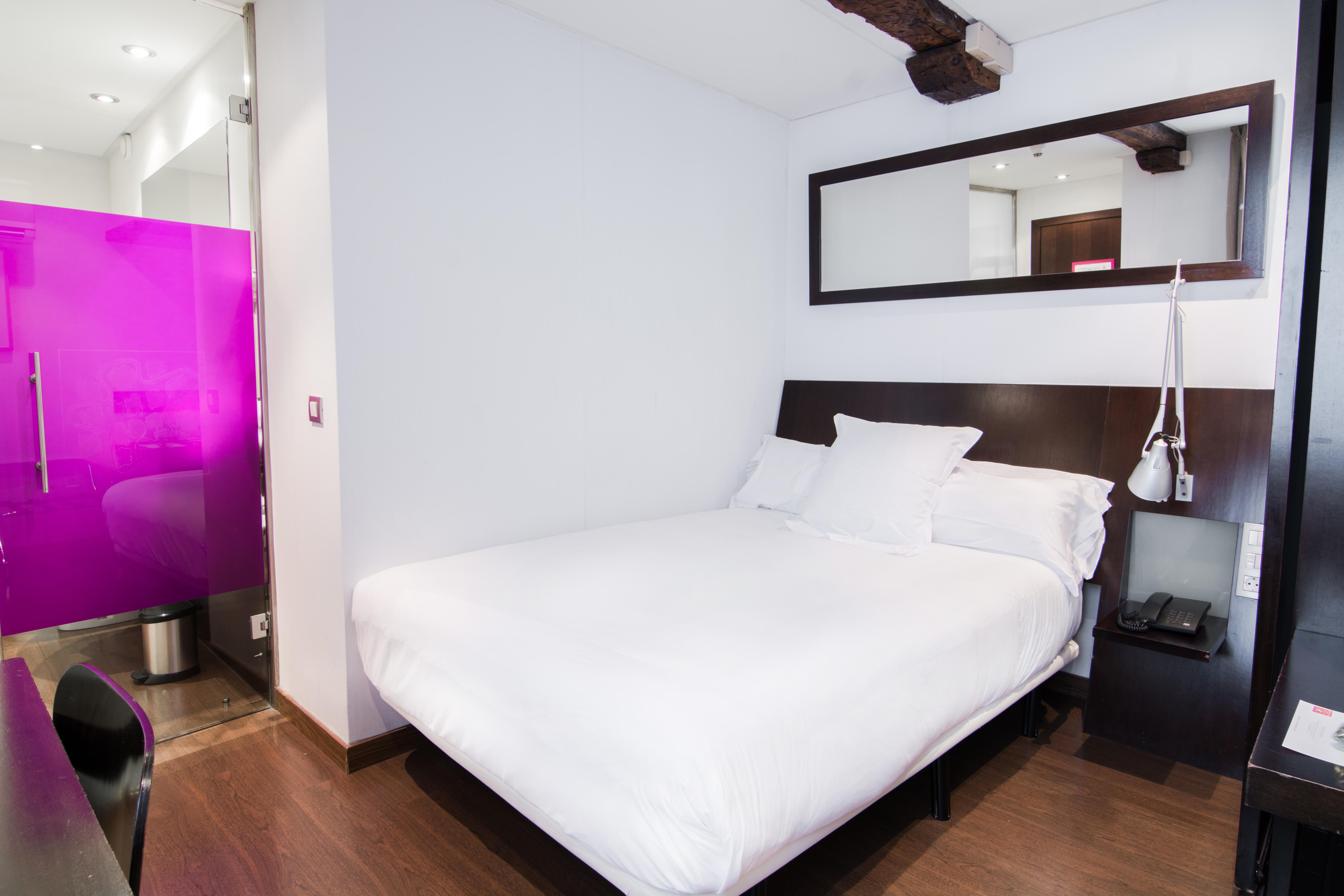 Hotel Petit Palace Arana