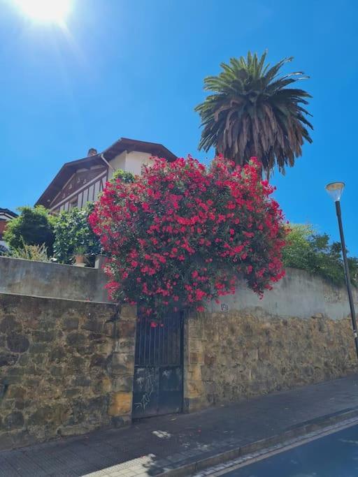 Apartamento La Casita Verde. Metro Cerca Del Casco Viejo *