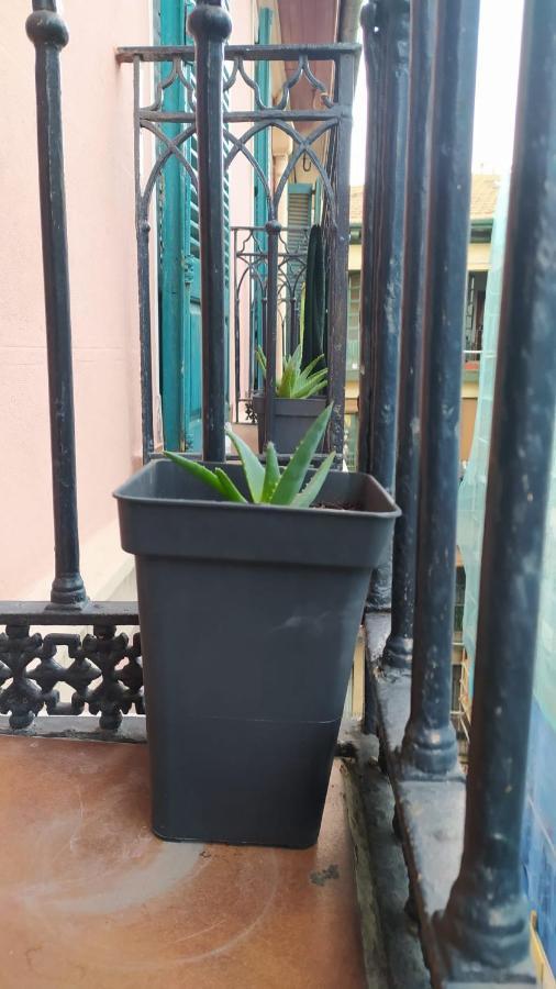 Manoli Pensión