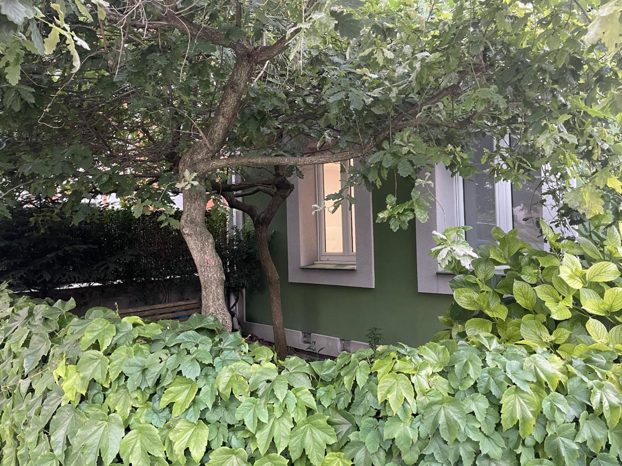 Apartamento Jardin Secreto By Oasis Ebi 2374