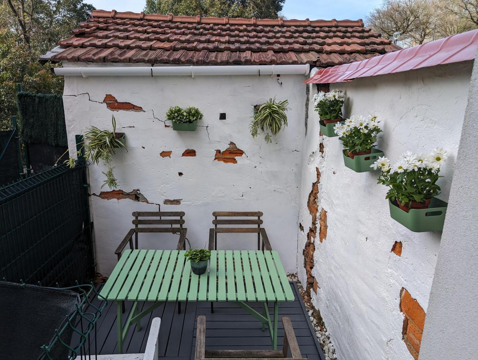 Jardin Secreto By Oasis Ebi 2374