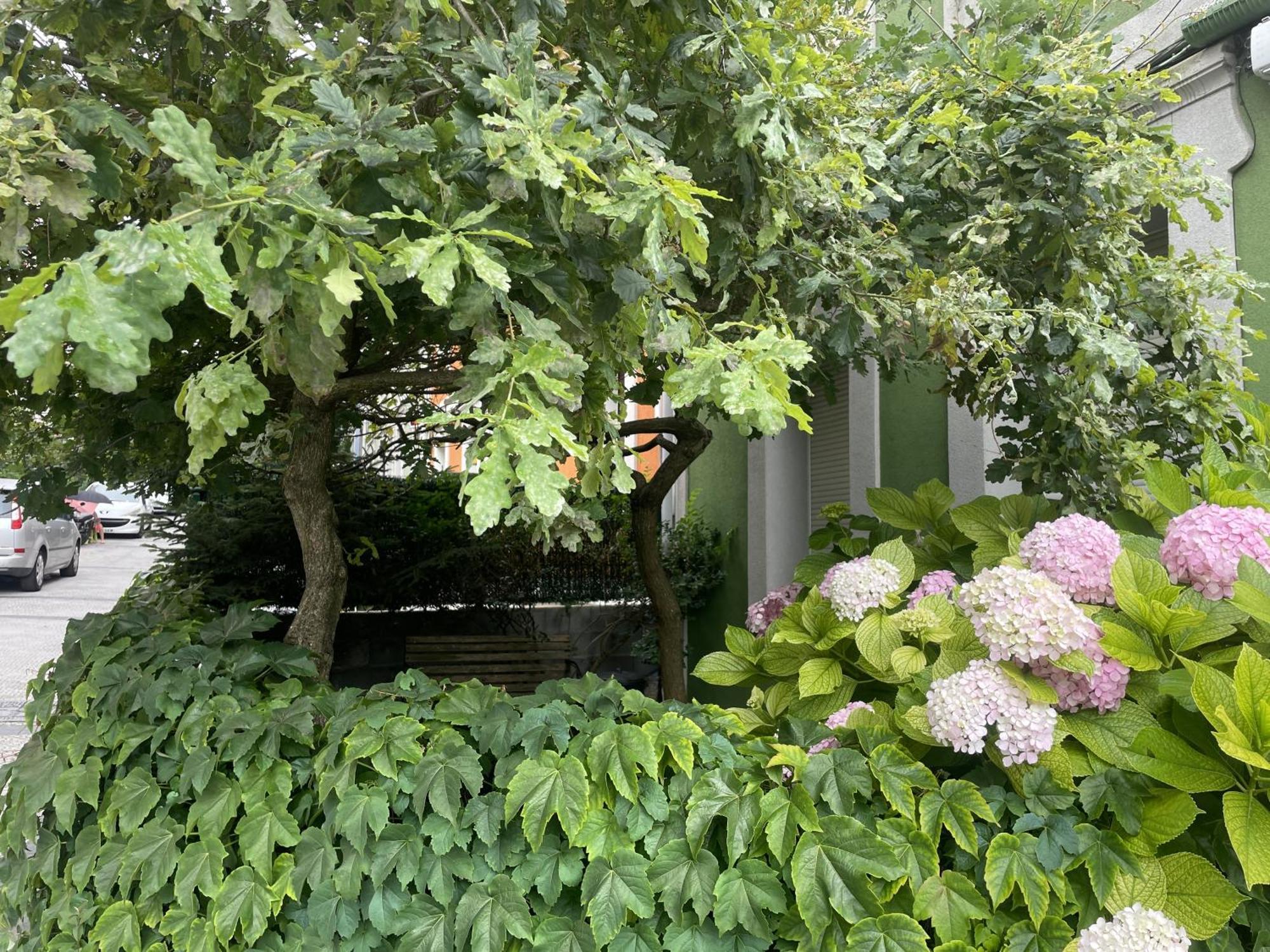 Apartamento Jardin Secreto By Oasis Ebi 2374 *