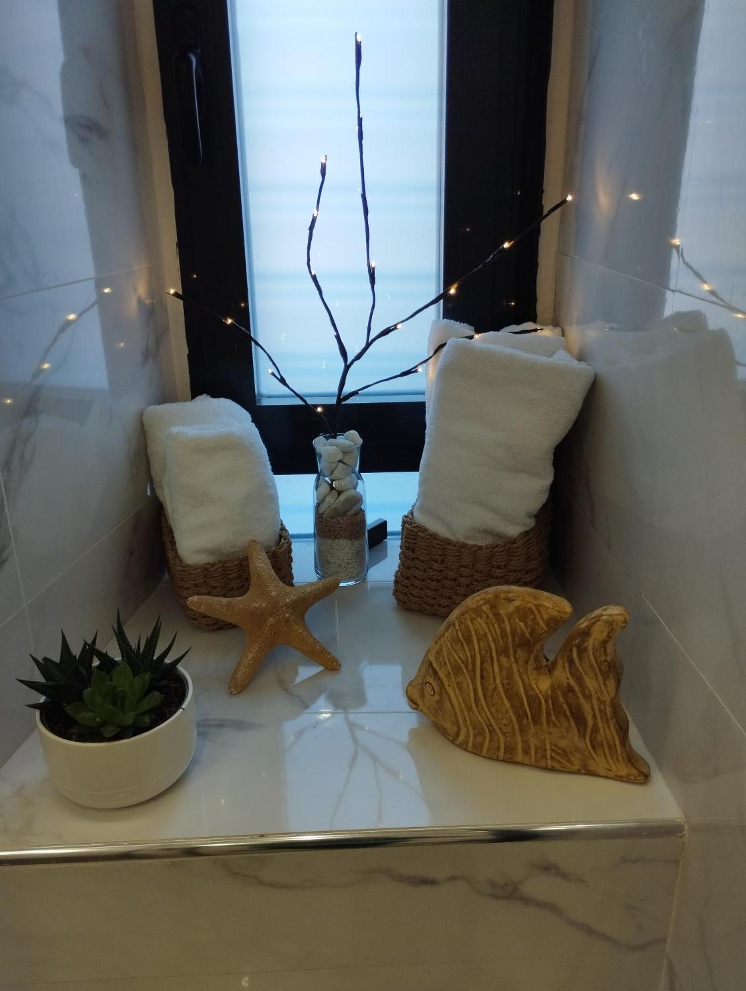Apartamento La Carola *