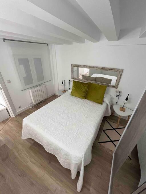 Apartamento Gurea Casco Viejo *