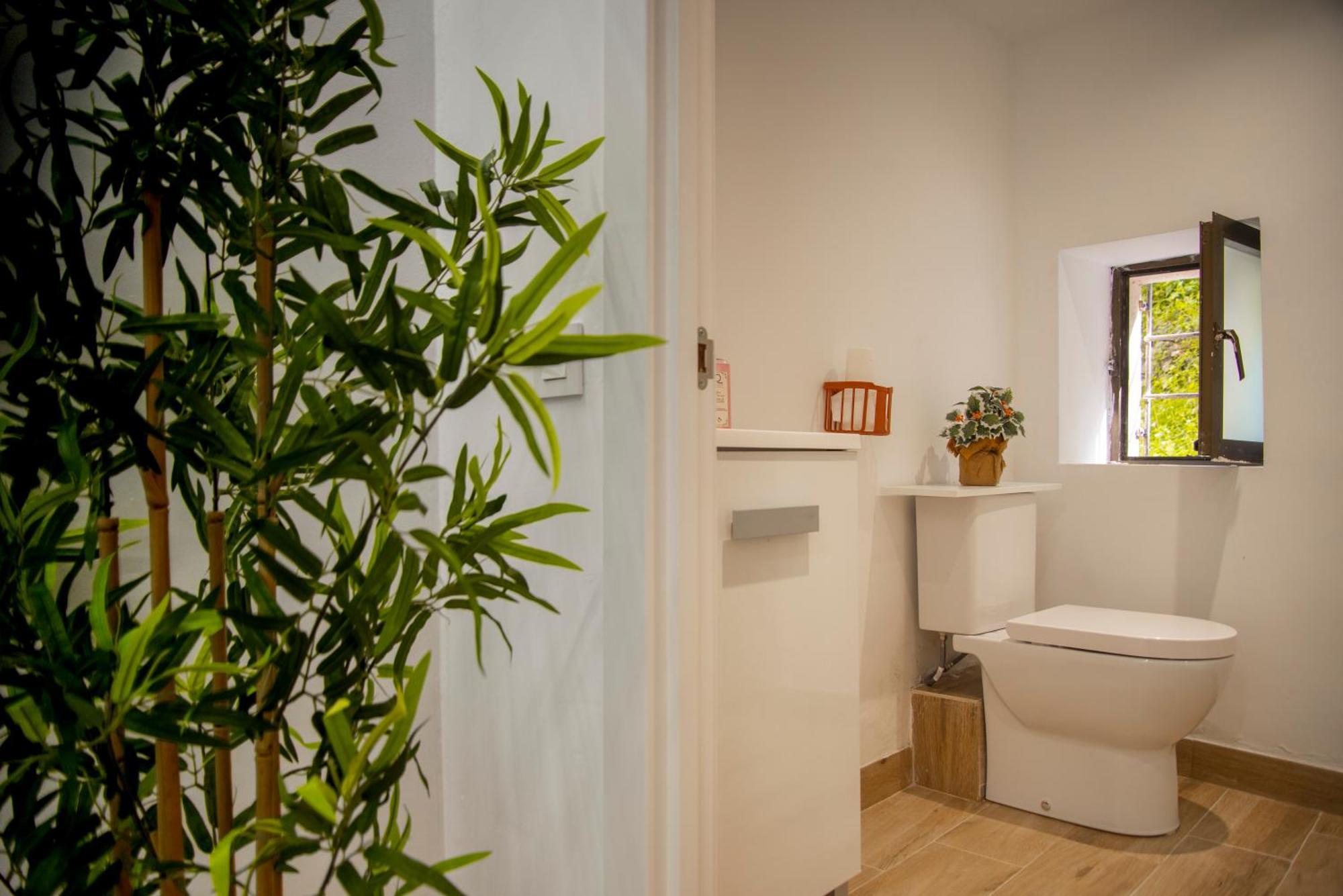 Apartamento Centro Zumaia2 *