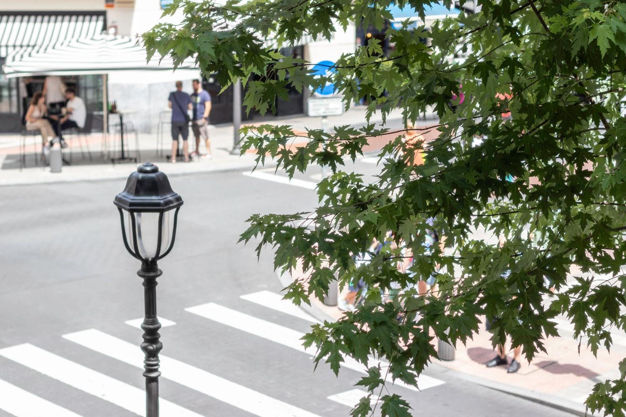 Moderno Y Amplio En El Centro *
