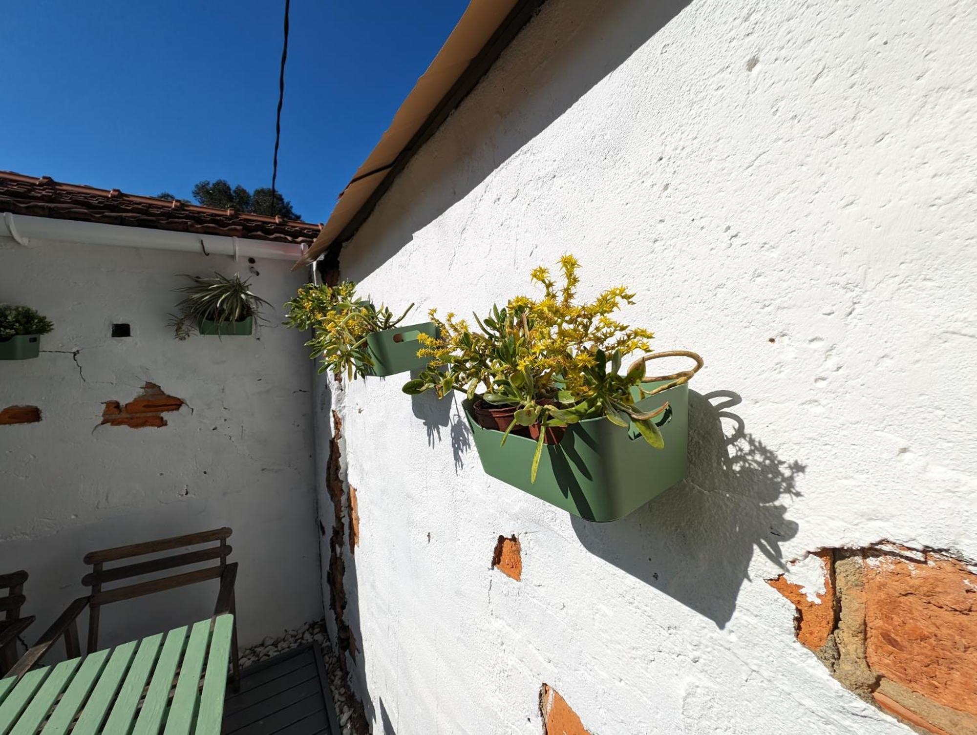 Jardin Secreto By Oasis Ebi 2374 Apartamento