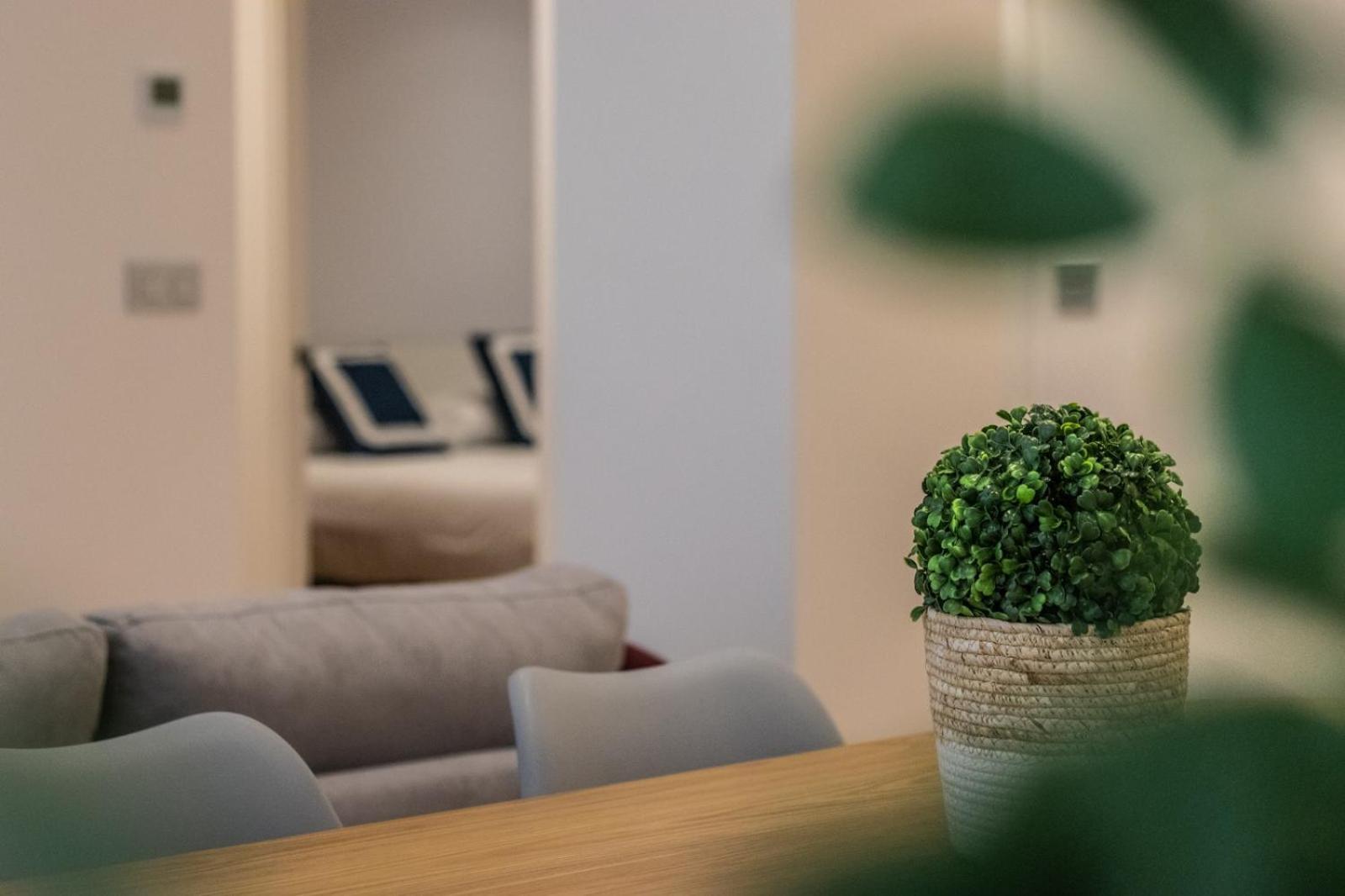 Tiboli Apartamento *