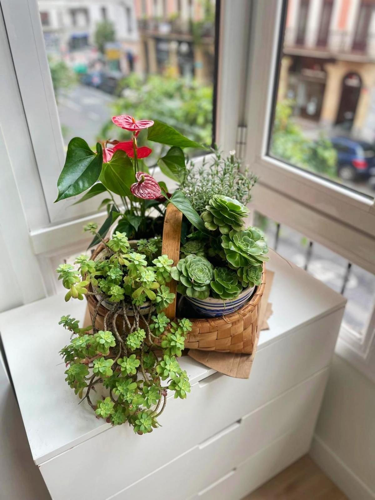 Apartamento Loaina Bilbao