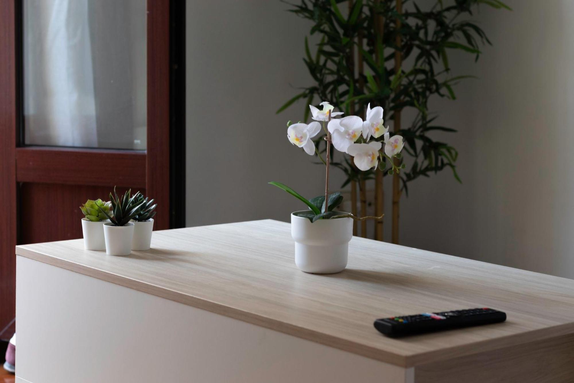 Apartamento Plaza Unamuno - Casco Viejo - Parking Opcional