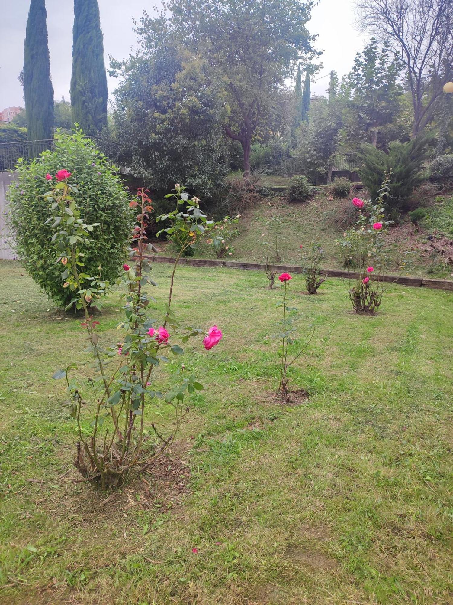Miresibilbao - Residencia Universitaria Hotel
