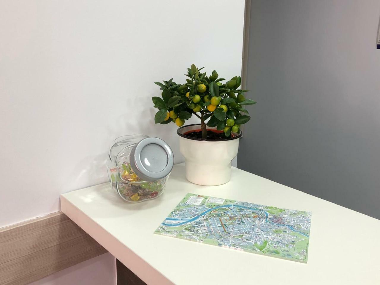 Guest house Miribilla Bilbao