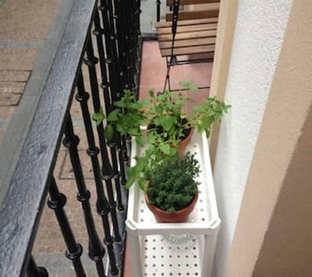 Apartamento En Carniceria Vieja Apartamento *