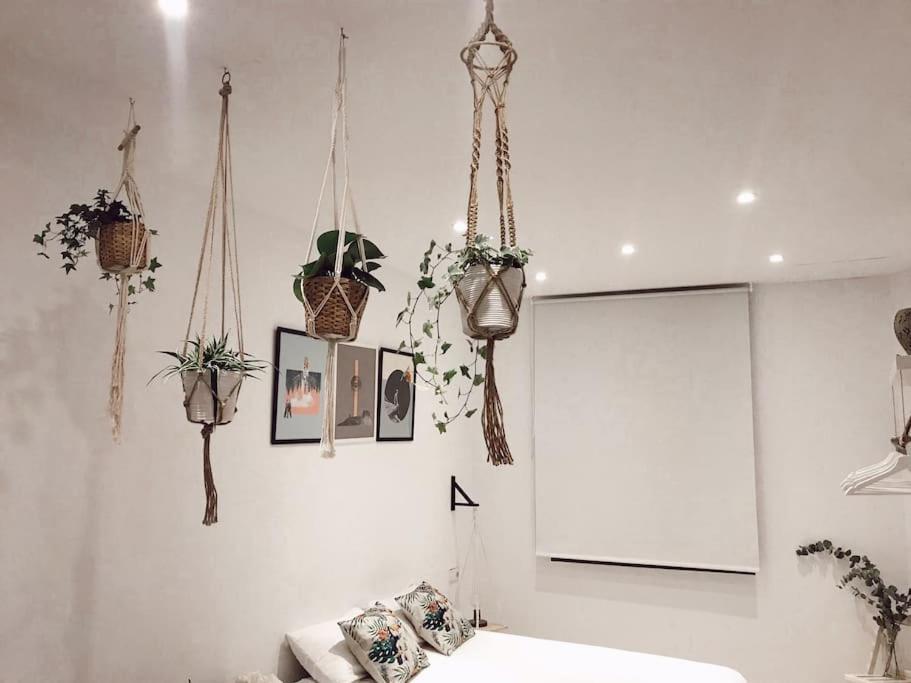 Apartamento Puerta Del Camino 6